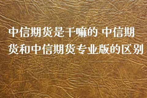 中信期货是 中信期货和中信期货专业版的区别